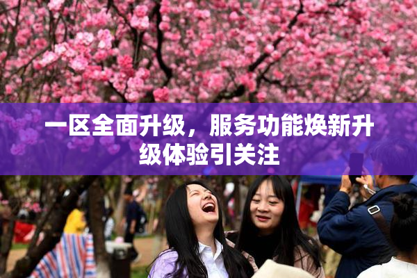 一区全面升级，服务功能焕新升级体验引关注