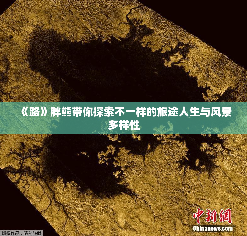 《路》胖熊带你探索不一样的旅途人生与风景多样性