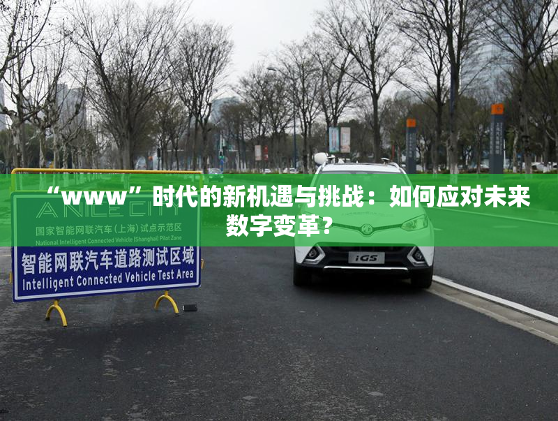 “www”时代的新机遇与挑战：如何应对未来数字变革？