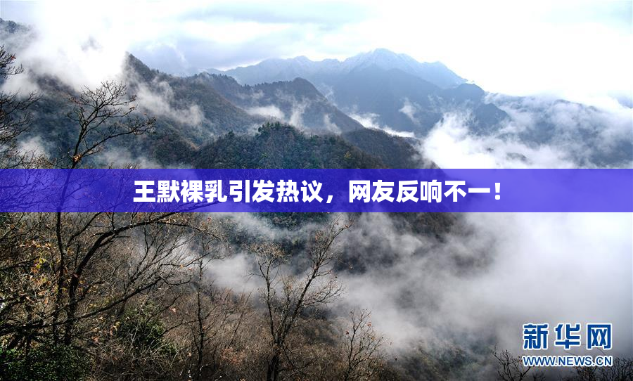 王默裸乳引发热议，网友反响不一！