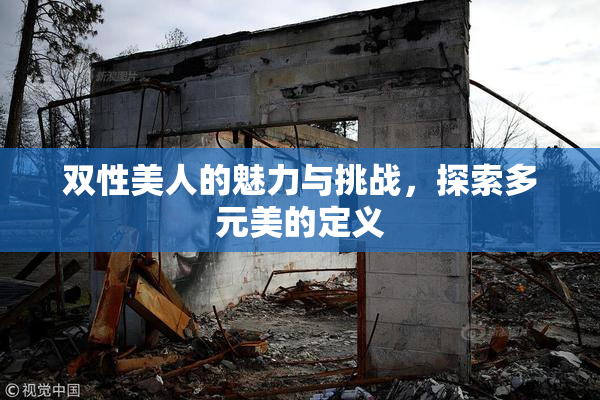 双性美人的魅力与挑战，探索多元美的定义