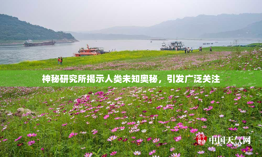 神秘研究所揭示人类未知奥秘，引发广泛关注