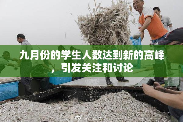 九月份的学生人数达到新的高峰，引发关注和讨论