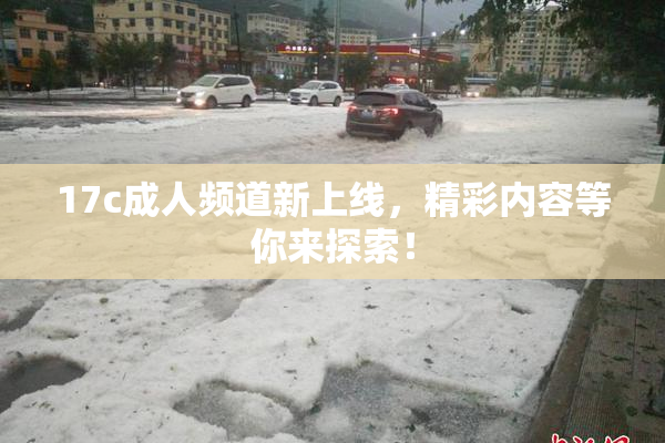 17c成人频道新上线，精彩内容等你来探索！