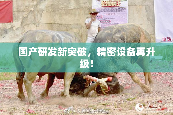 国产研发新突破，精密设备再升级！