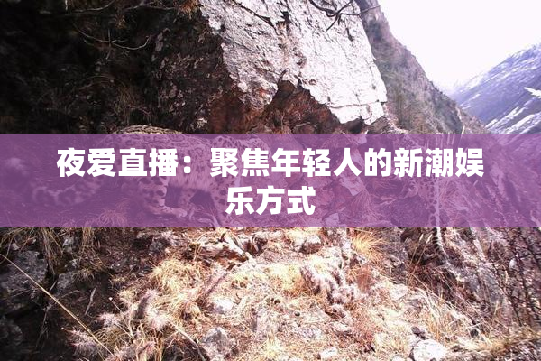 夜爱直播：聚焦年轻人的新潮娱乐方式