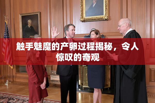 触手魅魔的产卵过程揭秘，令人惊叹的奇观