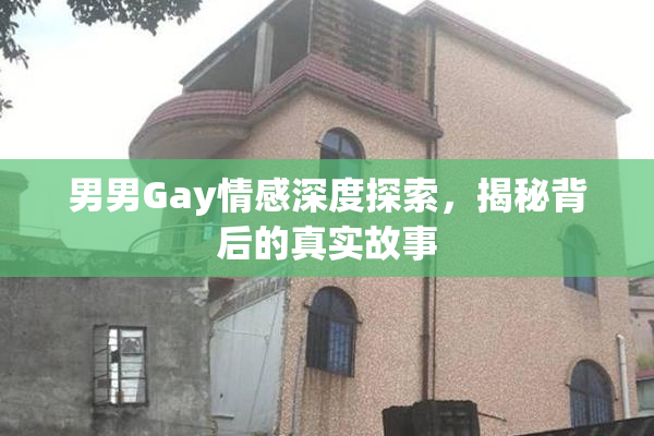 男男Gay情感深度探索，揭秘背后的真实故事