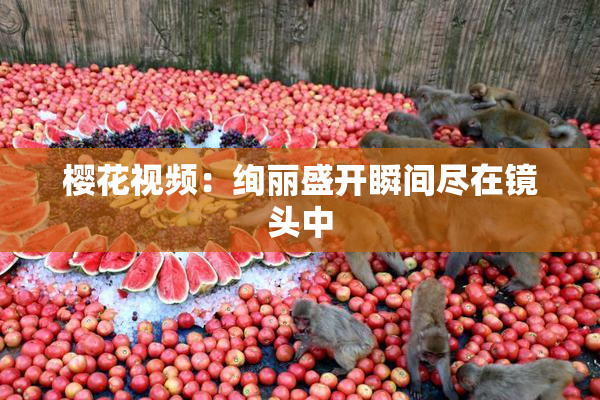 樱花视频：绚丽盛开瞬间尽在镜头中