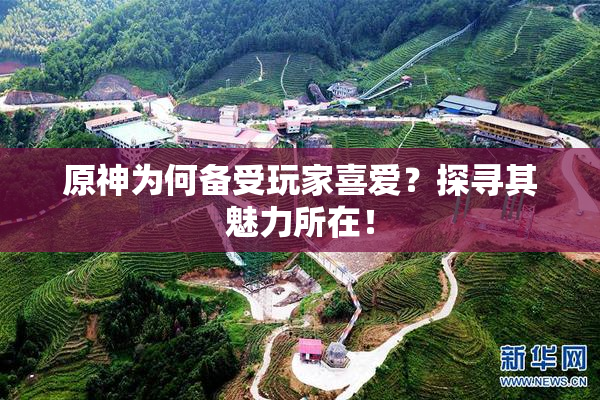 原神为何备受玩家喜爱？探寻其魅力所在！