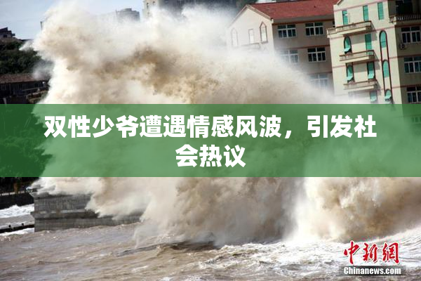 双性少爷遭遇情感风波，引发社会热议