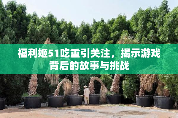 福利姬51吃重引关注，揭示游戏背后的故事与挑战
