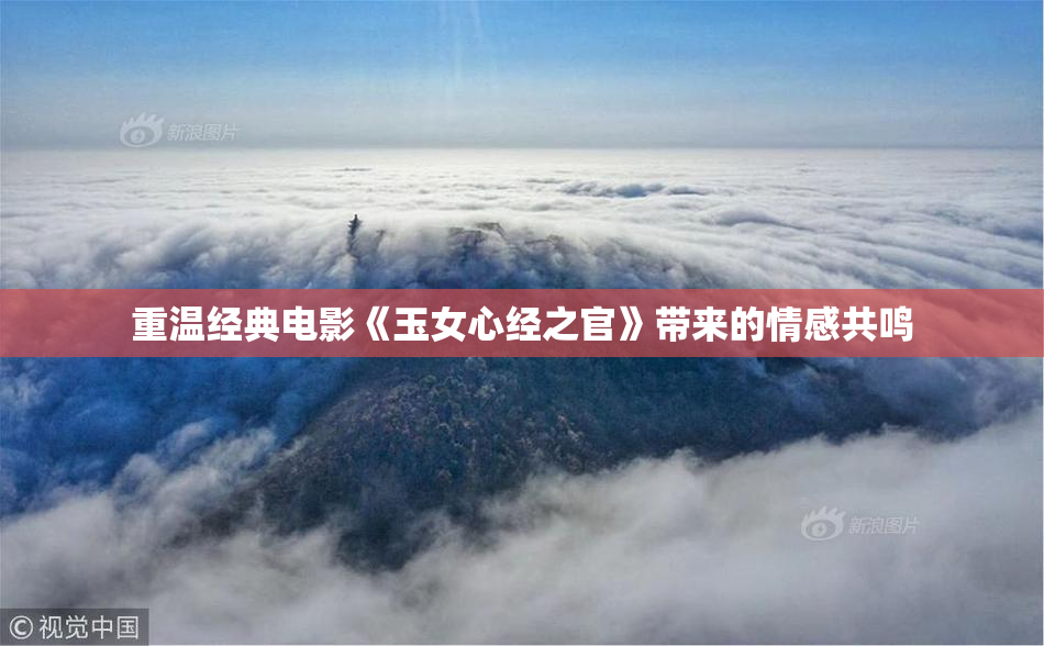 重温经典电影《玉女心经之官》带来的情感共鸣