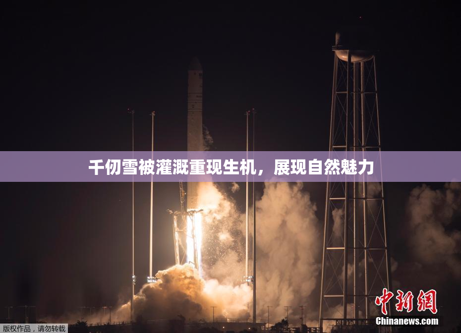 千仞雪被灌溉重现生机，展现自然魅力