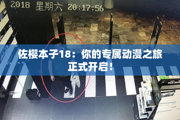 佐樱本子18：你的专属动漫之旅正式开启！