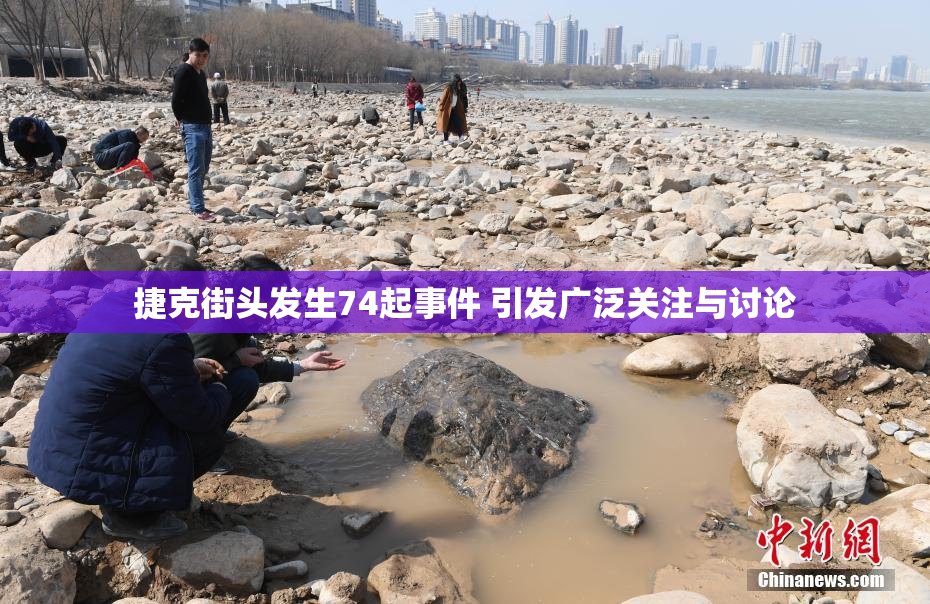 捷克街头发生74起事件 引发广泛关注与讨论