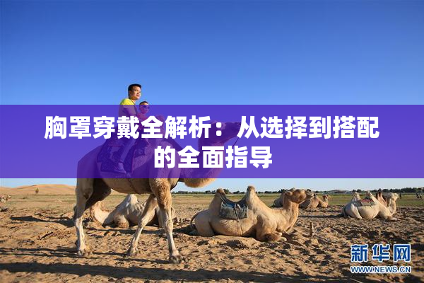 胸罩穿戴全解析：从选择到搭配的全面指导