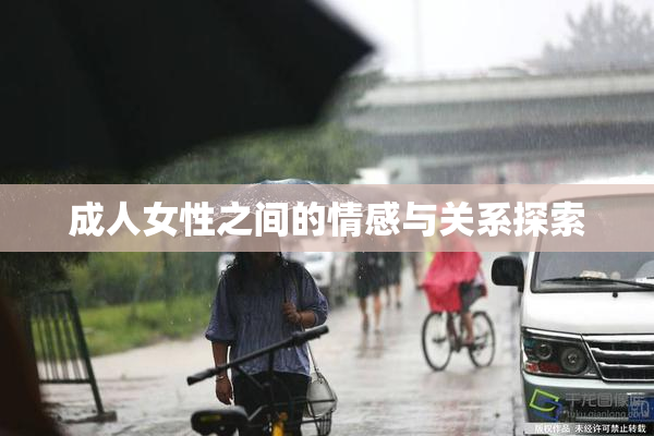 成人女性之间的情感与关系探索