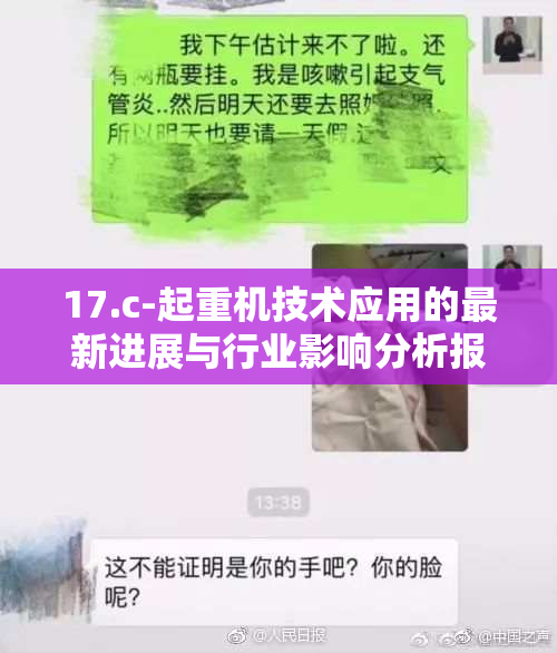 17.c-起重机技术应用的最新进展与行业影响分析报告发布