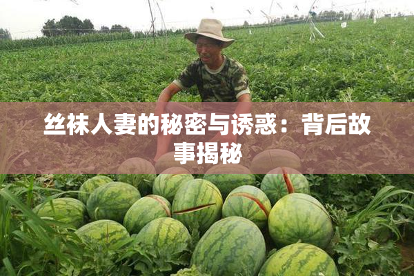 丝袜人妻的秘密与诱惑：背后故事揭秘