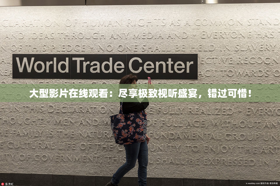 大型影片在线观看：尽享极致视听盛宴，错过可惜！