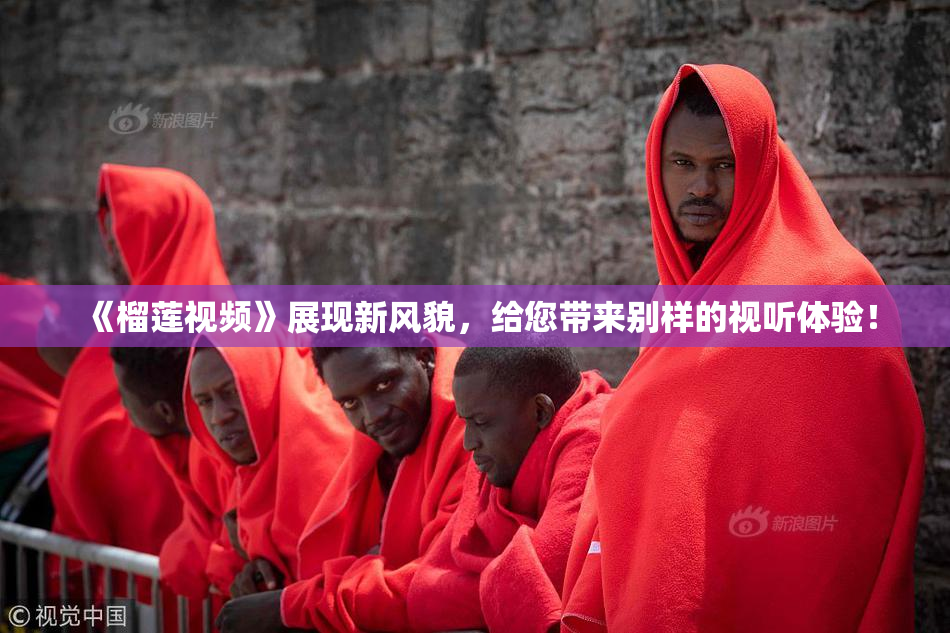 《榴莲视频》展现新风貌，给您带来别样的视听体验！