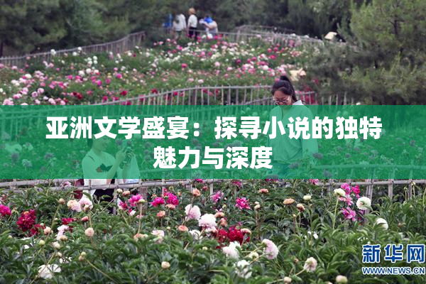 亚洲文学盛宴：探寻小说的独特魅力与深度