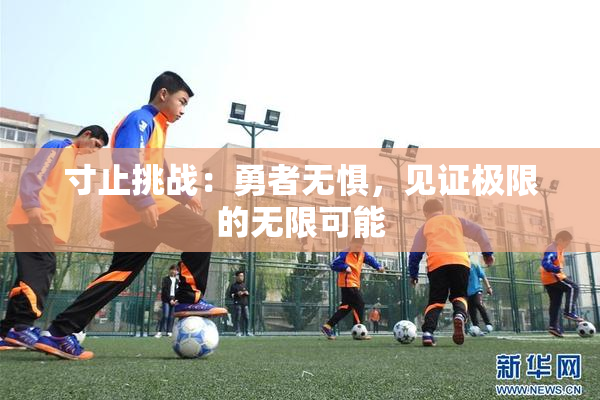 寸止挑战：勇者无惧，见证极限的无限可能