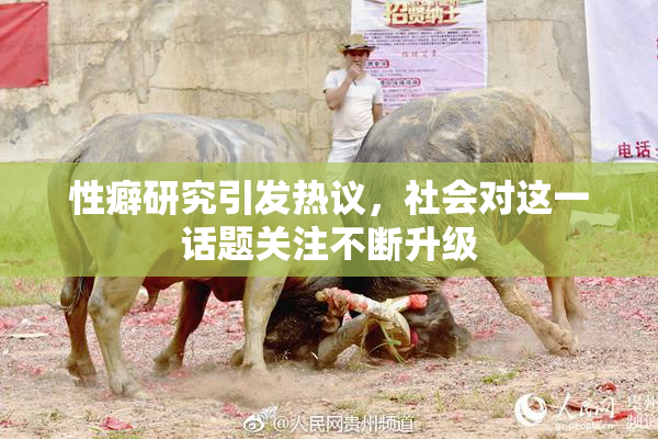 性癖研究引发热议，社会对这一话题关注不断升级