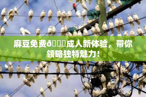 麻豆免费🔞成人新体验，带你领略独特魅力！