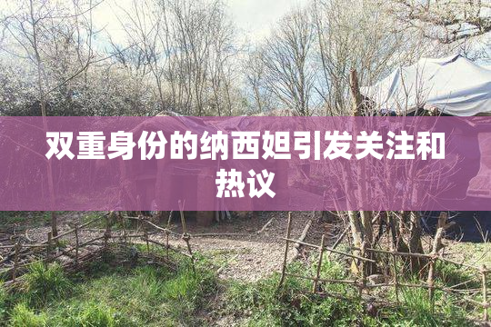 双重身份的纳西妲引发关注和热议