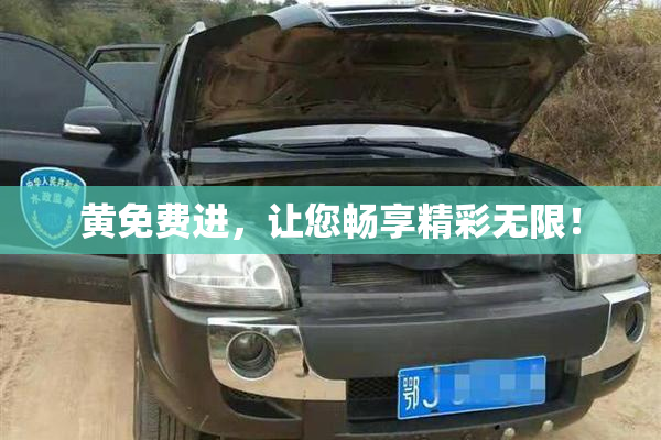 黄免费进，让您畅享精彩无限！