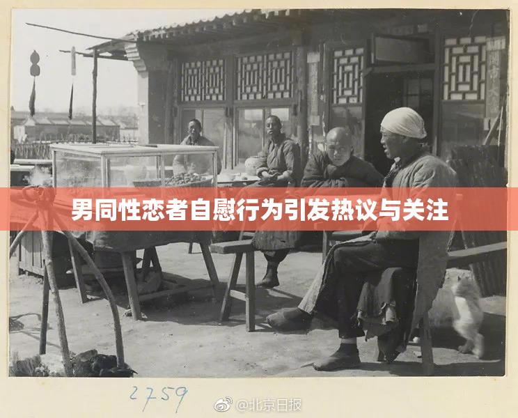 男同性恋者自慰行为引发热议与关注