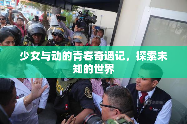 少女与动的青春奇遇记，探索未知的世界