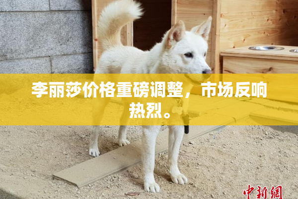李丽莎价格重磅调整，市场反响热烈。