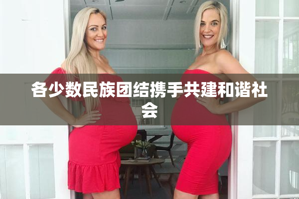 各少数民族团结携手共建和谐社会