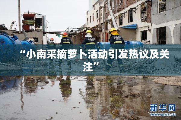 “小南采摘萝卜活动引发热议及关注”