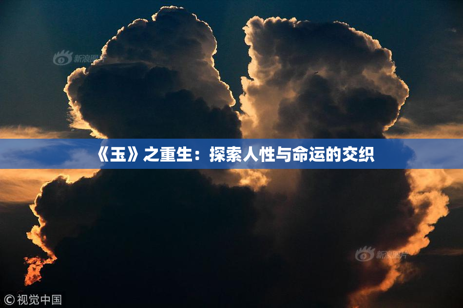 《玉》之重生：探索人性与命运的交织