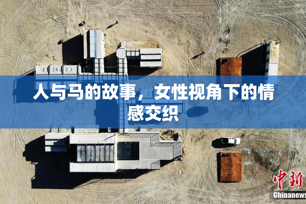 人与马的故事，女性视角下的情感交织