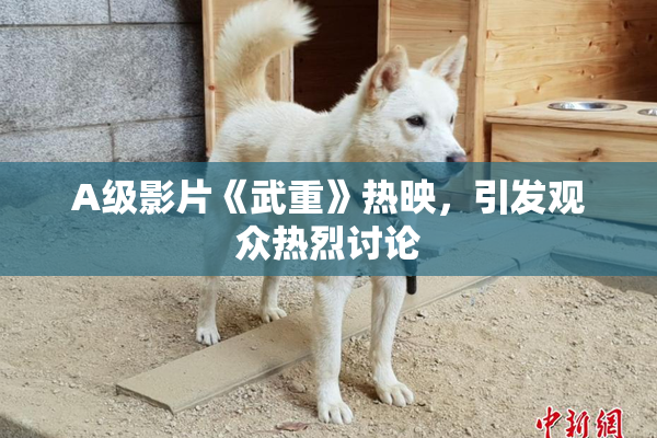 A级影片《武重》热映，引发观众热烈讨论