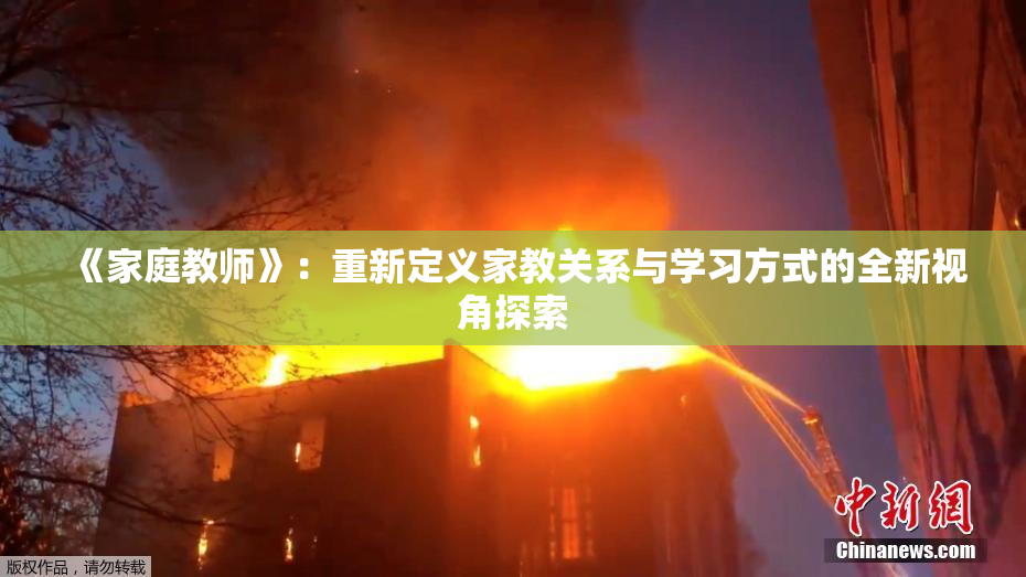 《家庭教师》：重新定义家教关系与学习方式的全新视角探索