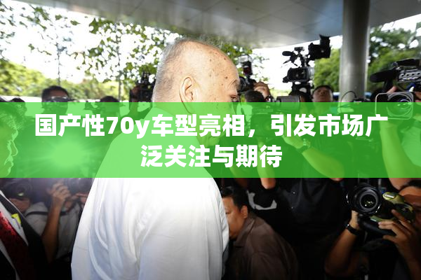 国产性70y车型亮相，引发市场广泛关注与期待