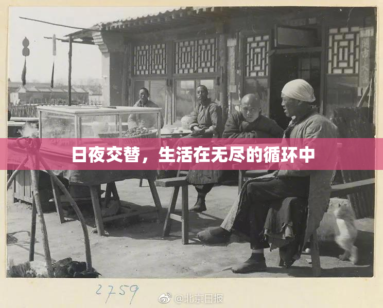 日夜交替，生活在无尽的循环中