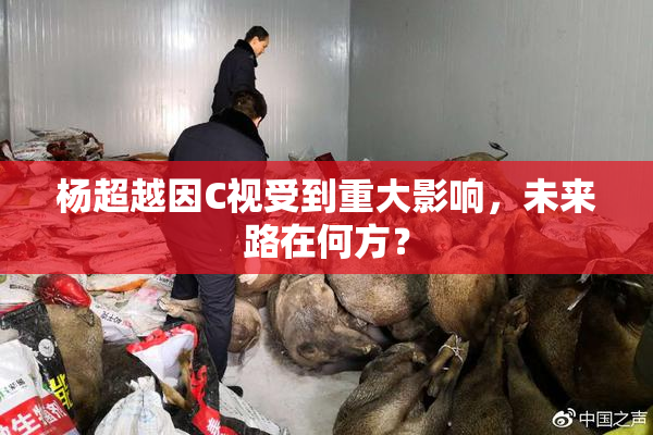 杨超越因C视受到重大影响，未来路在何方？