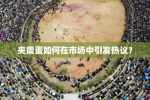 夹震蛋如何在市场中引发热议？
