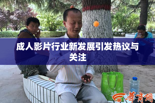 成人影片行业新发展引发热议与关注