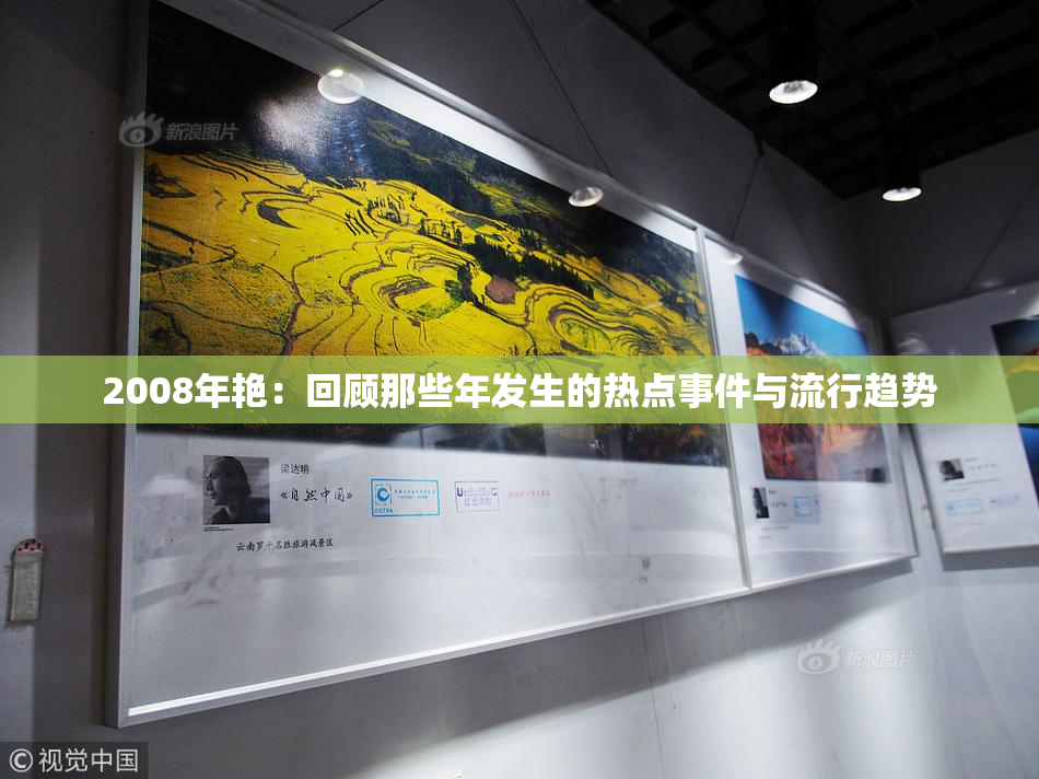 2008年艳：回顾那些年发生的热点事件与流行趋势
