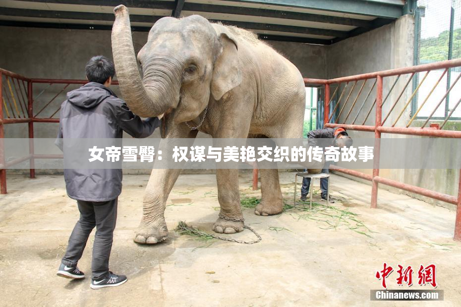女帝雪臀：权谋与美艳交织的传奇故事