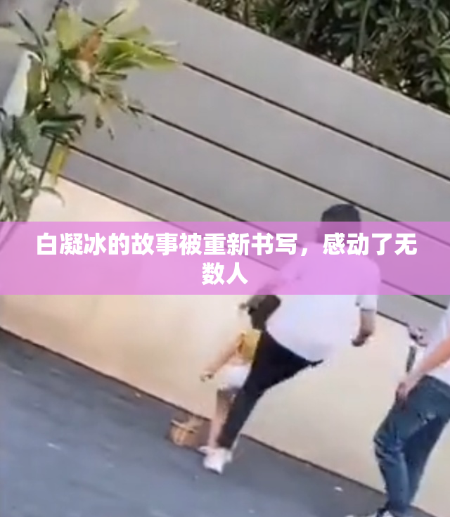 白凝冰的故事被重新书写，感动了无数人