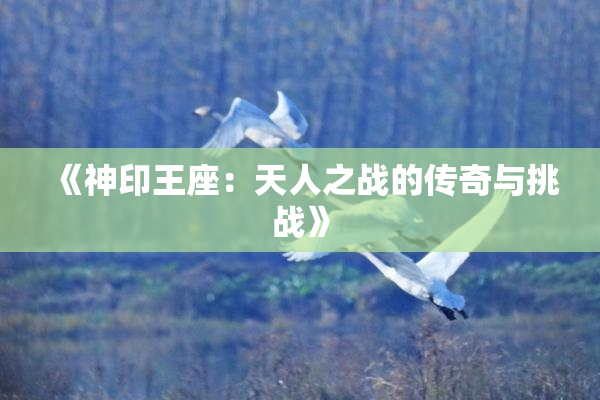 《神印王座：天人之战的传奇与挑战》